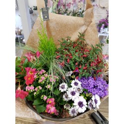 Coupe de plante essentielle pour le deuil composée de plantes de saison, contenant inclus - Fleuriste Celles-sur-Belle (79)