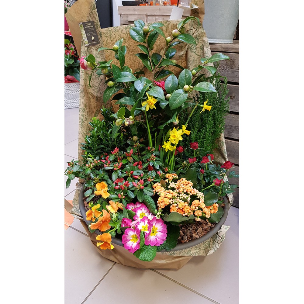 Assemblage de plantes de saison en coupe raffinée pour le deuil - Fleuriste Celles-sur-Belle (79)