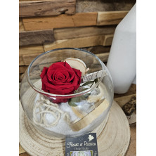 Rose éternelle verrerie ronde diamètre 13 cm, couleur au choix - Fleuriste Celles-sur-Belle (79)