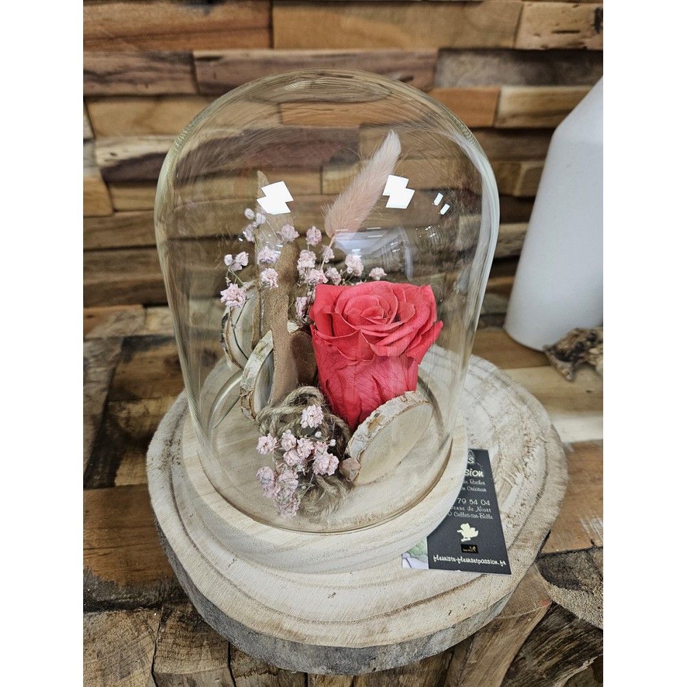 Rose éternelle sous cloche couleur au choix -  Longueur : 20 cm – Hauteur : 14 cm - Fleuriste Celles-sur-Belle (79)