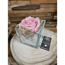 Rose éternelle verrerie carrée dimension : 8cm x 8cm , couleur au choix - Fleuriste Celles-sur-Belle (79)