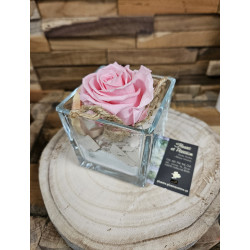 Rose éternelle verrerie carrée dimension : 8cm x 8cm , couleur au choix - Fleuriste Celles-sur-Belle (79)